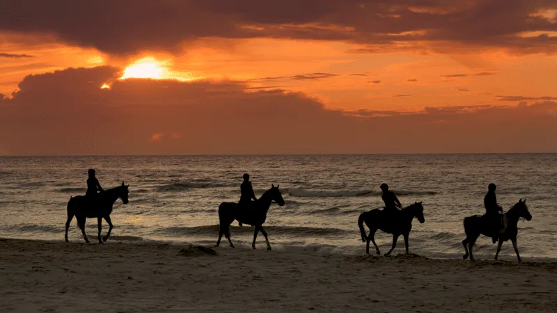 Afternoon horseback ride along golden-sand Aguadilla Beach with ocean views, beach horseback riding Puerto Rico on the northwest coast