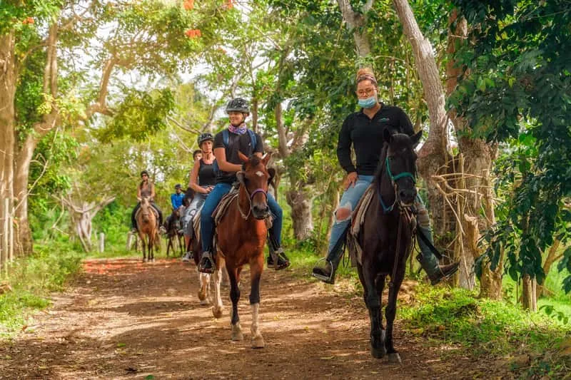 Riders on horseback through lush tropical rainforest at Carabalí Rainforest Park, horseback riding Puerto Rico near El Yunque National Forest