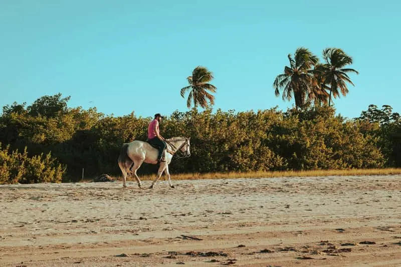 Coastal horseback trail with sweeping ocean views in Luquillo, beach horseback riding Puerto Rico on the northeastern Caribbean coast near El Yunque