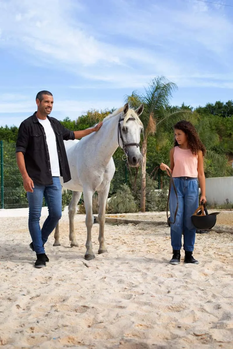 Paso Fino horse and rider along a white-sand Caribbean beach in Isabela, horseback riding on the beach in Puerto Rico on the northwest coast near Jobos Bay